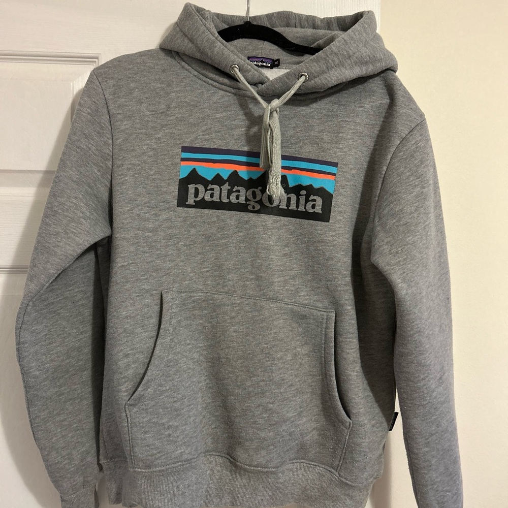 Patagonia Gray Hoodie with Blue & Teal Logo